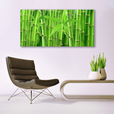 Billede glas Bamboo Stem Flower Plant