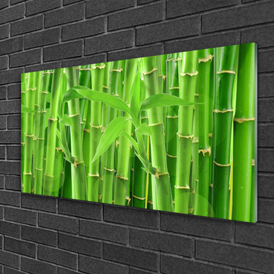 Billede glas Bamboo Stem Flower Plant