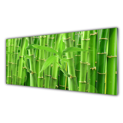 Billede glas Bamboo Stem Flower Plant