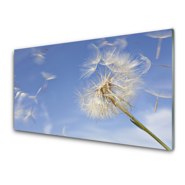 Glas billede Dandelion Plant