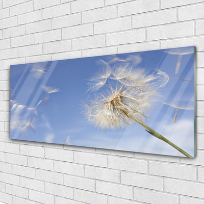 Glas billede Dandelion Plant