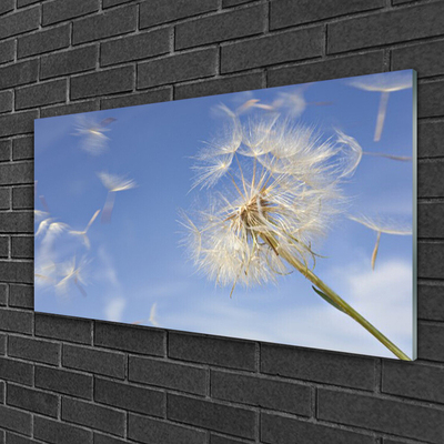 Glas billede Dandelion Plant