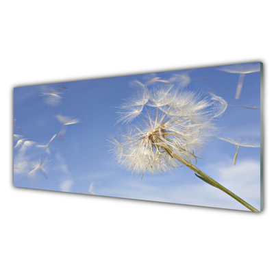 Glas billede Dandelion Plant