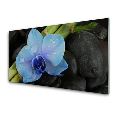 Glasfoto Flower Stones Plant