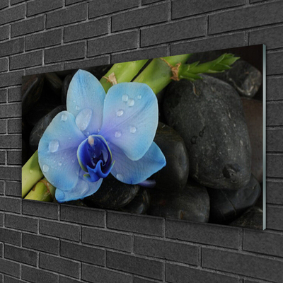 Glasfoto Flower Stones Plant