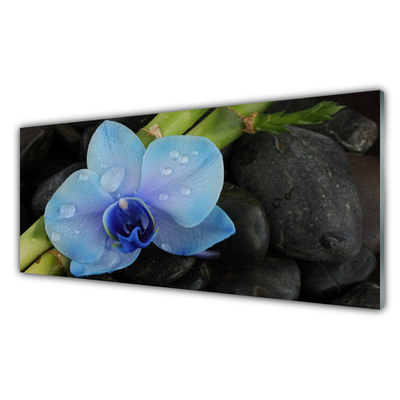 Glasfoto Flower Stones Plant