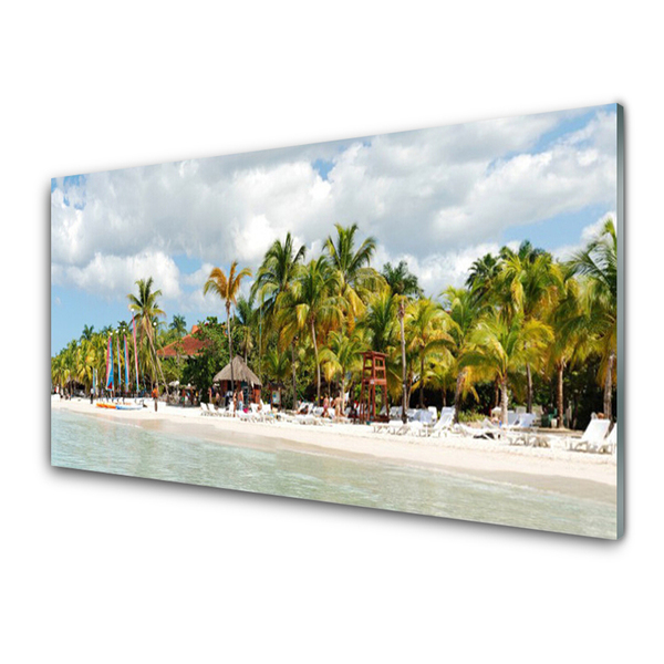 Billede glas Beach Palm Trees Landscape