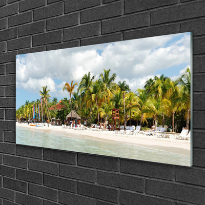 Billede glas Beach Palm Trees Landscape