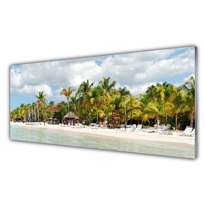 Billede glas Beach Palm Trees Landscape