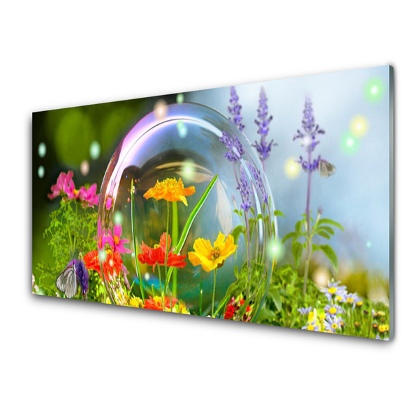 Billede glas Blomster Natur plante