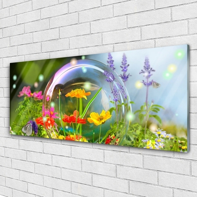 Billede glas Blomster Natur plante