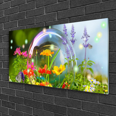 Billede glas Blomster Natur plante