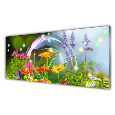 Billede glas Blomster Natur plante