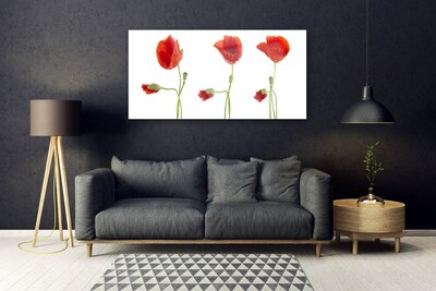 Billede glas Poppies Plant Nature