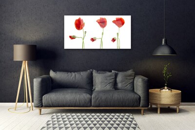 Billede glas Poppies Plant Nature