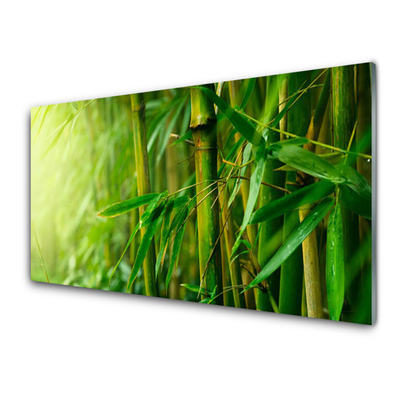 Glas billede Bamboo Stems Plant