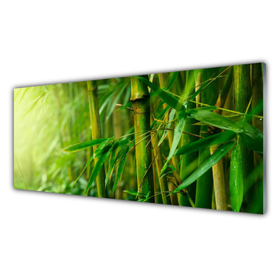 Glas billede Bamboo Stems Plant