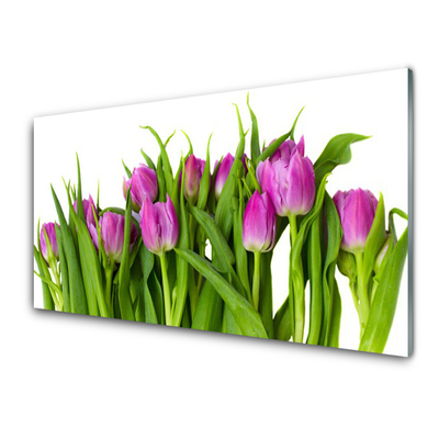 Billede i glas Tulipaner Blomster Plante