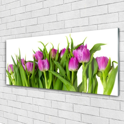 Billede i glas Tulipaner Blomster Plante