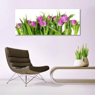 Billede i glas Tulipaner Blomster Plante