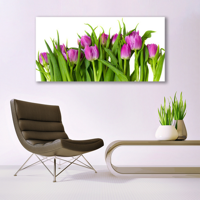 Billede i glas Tulipaner Blomster Plante