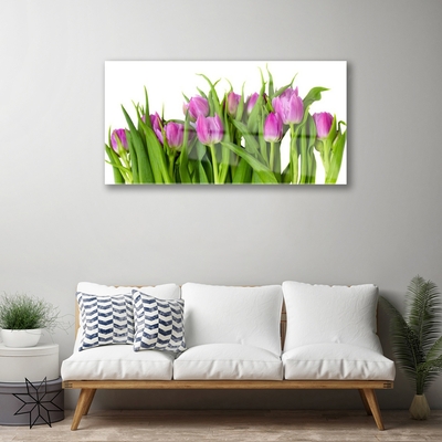 Billede i glas Tulipaner Blomster Plante