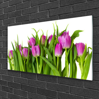 Billede i glas Tulipaner Blomster Plante