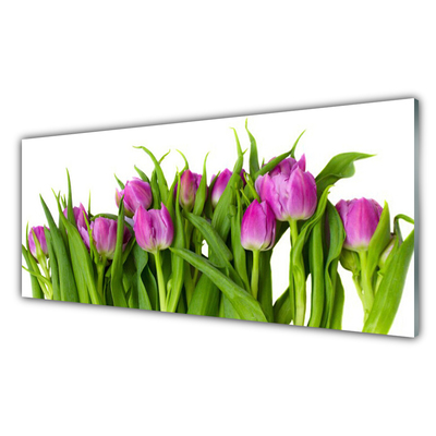 Billede i glas Tulipaner Blomster Plante