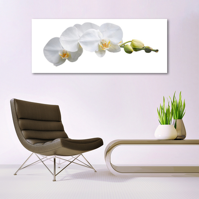 Glasfoto Blomster Planter Natur