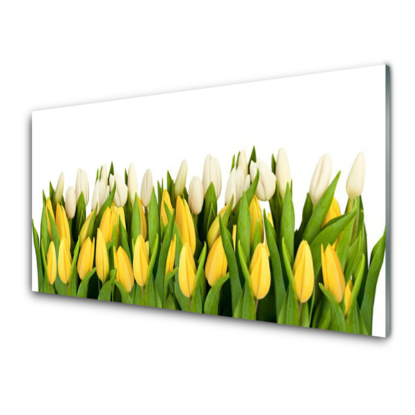 Glasbillede Tulipaner Blomster Plante