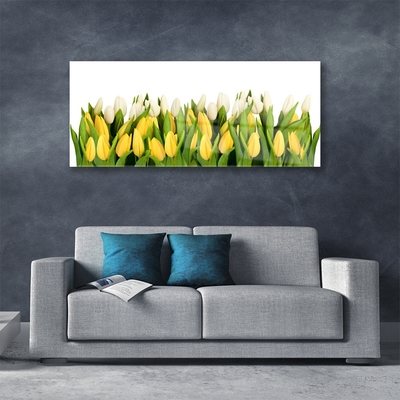 Glasbillede Tulipaner Blomster Plante