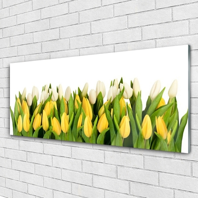 Glasbillede Tulipaner Blomster Plante