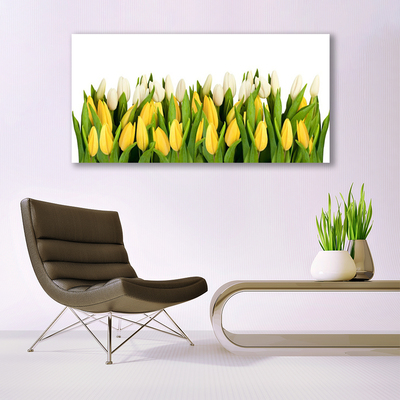 Glasbillede Tulipaner Blomster Plante