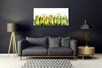 Glasbillede Tulipaner Blomster Plante