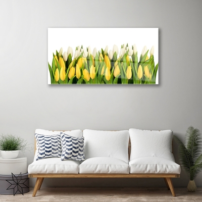 Glasbillede Tulipaner Blomster Plante