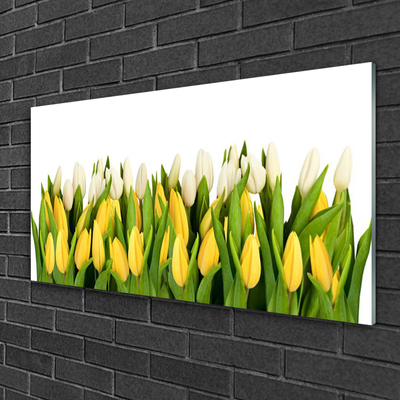 Glasbillede Tulipaner Blomster Plante