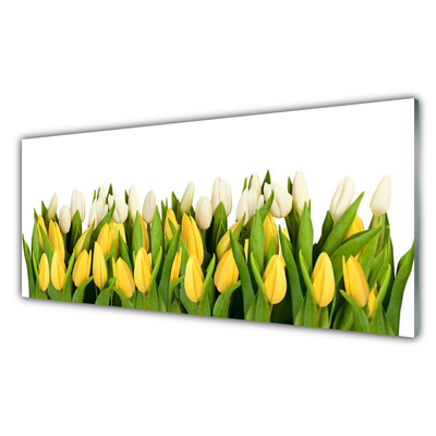 Glasbillede Tulipaner Blomster Plante