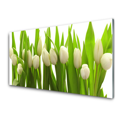 Billede glas Tulipaner Blomst Plante