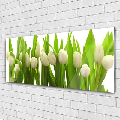 Billede glas Tulipaner Blomst Plante