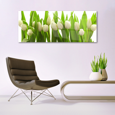 Billede glas Tulipaner Blomst Plante