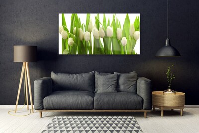 Billede glas Tulipaner Blomst Plante