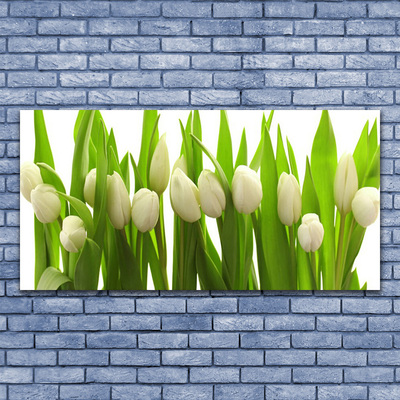 Billede glas Tulipaner Blomst Plante