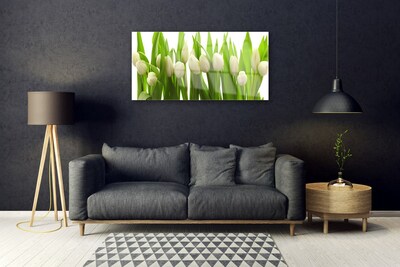 Billede glas Tulipaner Blomst Plante