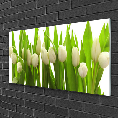 Billede glas Tulipaner Blomst Plante