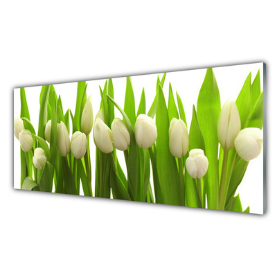 Billede glas Tulipaner Blomst Plante