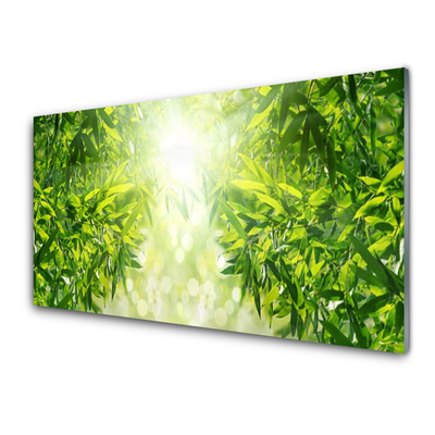 Glas billede Leaf Nature Plant