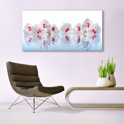 Billede glas Blomster Plante Natur Kunst