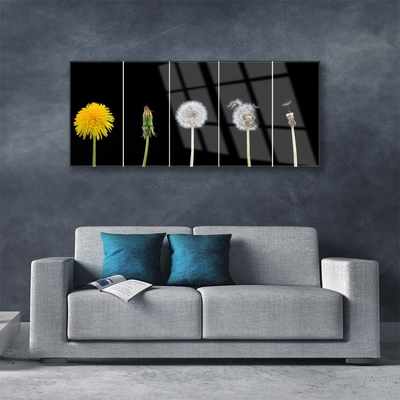 Glasfoto Dandelion Plant