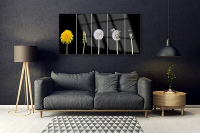 Glasfoto Dandelion Plant