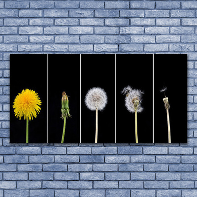 Glasfoto Dandelion Plant